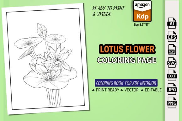 Lotus Coloring Book for Kdp Interior: Graphics & Coloring Pages
